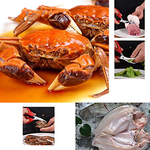  4 Pack Kitchen Seafood Scissors Fish Scissors Crab Scissors Lobster Scissors, Multifunctional Stainless Steel Seafood Scissors (2Pcs Black, 2Pcs Red)
