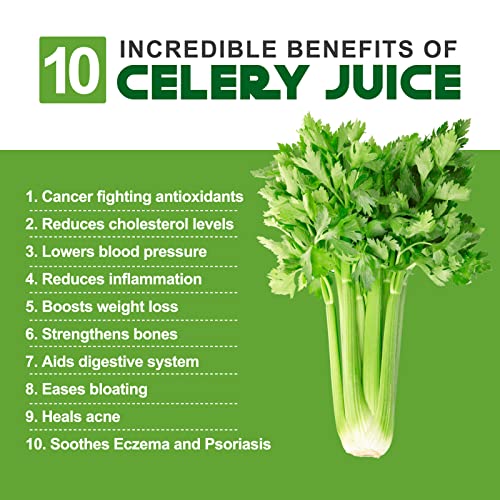  Celery Juicer Machine Slow Masticating Juicers Cold Press Juicer Real Easy Clean Extractor For Vegetable Fruit 1.8 Inch Chute Quite Low Db
