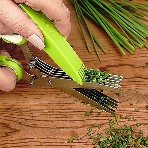  (SNIP) Stainless Steel 5 Blade Herb Scissors, Green/White | Cut, Chop, Mince & Snip Herbs | Easy & Safe To Store | Use With Basil, Thyme, Parsley & More | Dishwasher Safe