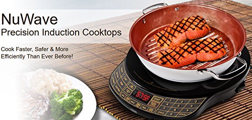  Wave PIC Pro Highest Powered Induction Cooktop 1800W