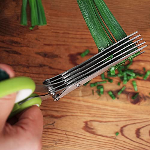  (SNIP) Stainless Steel 5 Blade Herb Scissors, Green/White | Cut, Chop, Mince & Snip Herbs | Easy & Safe To Store | Use With Basil, Thyme, Parsley & More | Dishwasher Safe