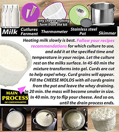  7 Pcs Cheesemaking Kit №1 Butter Punched Сheese Mold Press Strainer Cheese Tofu Press Mold Cheese Making Kit