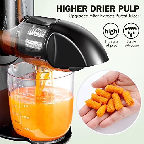  AMZCHEF Slow Masticating Juicer Bundle With Meat Grinder Attachment,Cold Press Juicer With Silent Motor And Reverse Function,with Sausage Stuffer Tubes And Grinding Plates
