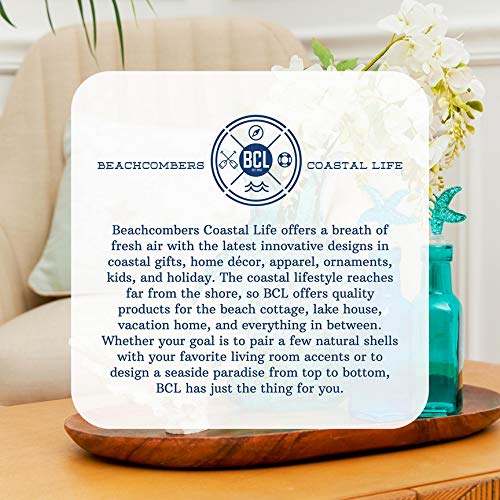  Beachcombers Truck/Camper Salt And Pepper Unique Ceramic Novelty Shakers Decor Decoration Red And White Truck/Camper