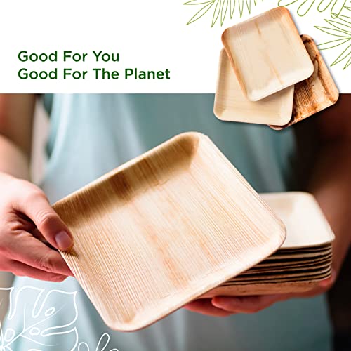  Palm Leaf Plates - Like Bamboo Plates Disposable - Compostable, Biodegradable & Eco Friendly - Appetizer & Dessert Plates For Party - Better Than Paper Plates (40, 6” Square Plates)