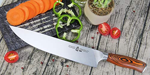  Chef Knife, Pro 10 Inch Chef S Knife, German High Carbon Stainless Steel Anti-rust Kitchen Knives, Ergonomic Handle Fiery Phoenix Series Cutlery