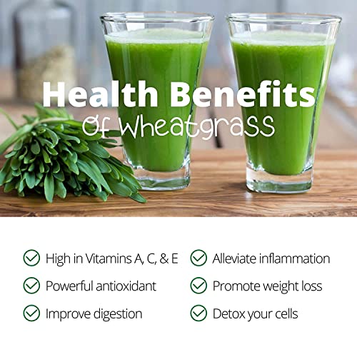  Uper Juicer - Model SB0850 - Commercial Wheatgrass Juice Extractor - Heavy Duty, Stainless Steel Wheat Grass Juice Machine