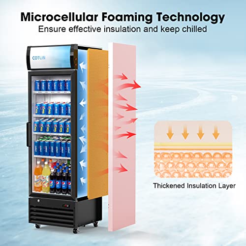  Glass Door Merchandiser Refrigerator With LED Lighting, 12.5 Cu.ft Commercial Beverage Cooler, Extra Adjustable Shelves And Drink Organizers, ETL NSF Approved