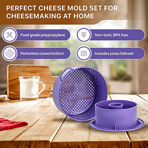  Group Hard Cheese Mold With Follower 1KG Camembert Cheese Mold - Cheese Making Machine Cheese Press Mold Strainer - Large Dutch Kadova Cheese Mold Swiss Hacer Queso