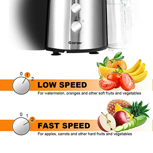  Juice Extractor, 75MM Wide Mouth Stainless Steel Juicer Machines, 2-Speed Setting High Speed Masticating Juicer Machine For Fruits And Vegetable With Slag Pot And Juice Jug, BPA-Free