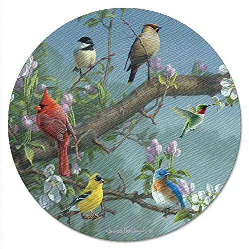  Art Beautiful Songbirds 4mm Heat Tolerant Tempered Glass Lazy Susan Turntable 13" Diameter Cake Plate Condiment Caddy Pizza Server