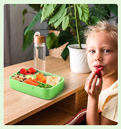  Bento Lunch Box, 5 Compartments Lunch Container For Kids & Adults With Snack Cup, Wheat Fiber Eco-Friendly Double Insulated Boxes, Dishwasher And Microwave Safe, BPA-Free (green)