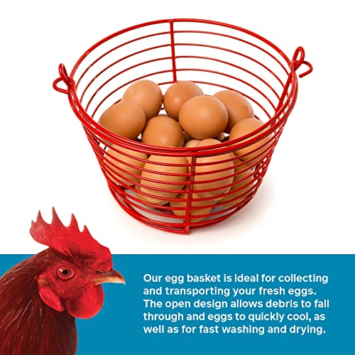  8 Inch Red Egg Basket 468