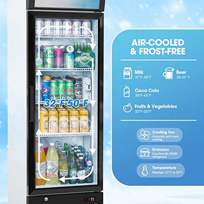  Glass Door Merchandiser Refrigerator With LED Lighting, 12.5 Cu.ft Commercial Beverage Cooler, Extra Adjustable Shelves And Drink Organizers, ETL NSF Approved