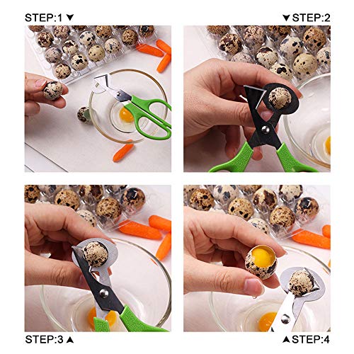  Set Of 6 Stainless Steel Green Quail Egg Shell Cutters Separator Cracker Opener Stainless Steel Blade Tool.
