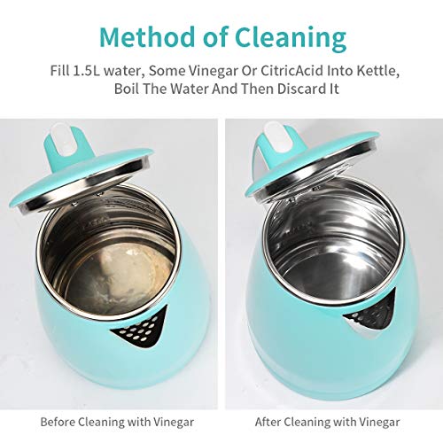  Electric Kettles Stainless Steel Interior, Double Wall Hot Water Boiler Heater, Cool Touch Electric Teapot Heater Kettle, Auto Shut-Off And Boil-Dry Protection, Cordless, 1.5L, 2 Year Warranty (1.5L)