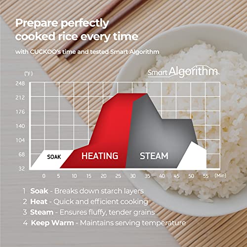  CRP-CHSS1009FN Induction Heating Pressure Rice Cooker, 10 Cups, Metallic