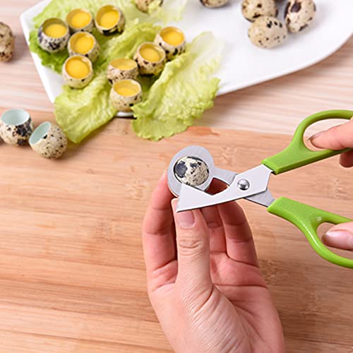  Quail Egg Shell Cutters Scissors Small Quail Egg Cracker Opener Cigar Cutter Stainless Steel Blade Tool