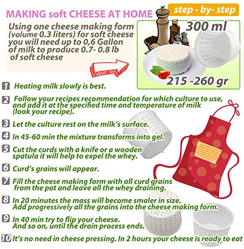  3 Pcs Basic Cheese Mold Soft Sorts Of Cheese 10 Oz (300 Mililiters)