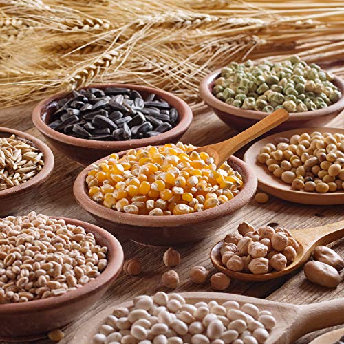  50 Pieces Small Wooden Spoons, 3.5'' L, Mini Nature Spoons Wood Honey Teaspoon Cooking Condiments Spoons For Kitchen Seasoning Jar Coffee Tea Sugar