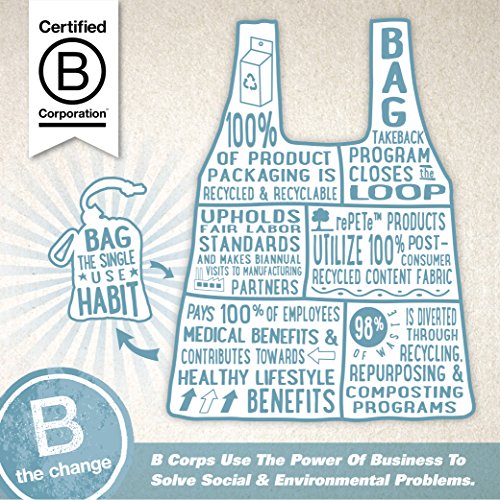  ChicoBag Vita Reusable Tote Bag With Carabiner Clip | Compact Reusable Shopping Bags | Eco Friendly