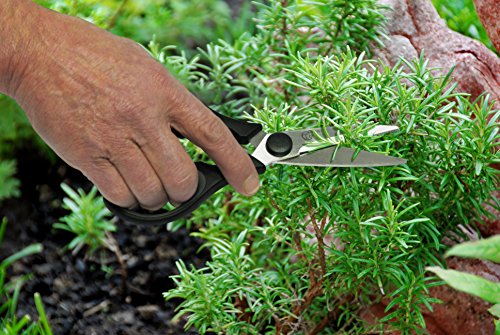  Kitchen Scissors With Magnetic Holder & Tea Infuser - Ultra Sharp Strong Durable - 100% Rust Proof - Soft Grip