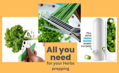  Erb Scissors With 5 Blades And Cover - 2023 Updated Sharp Multi-Blade Stainless Steel Herb Shears For Kitchen; Kale And Herb Stripper With Herb Savor Pod Fringe Scissors By HOMECREDIBLES