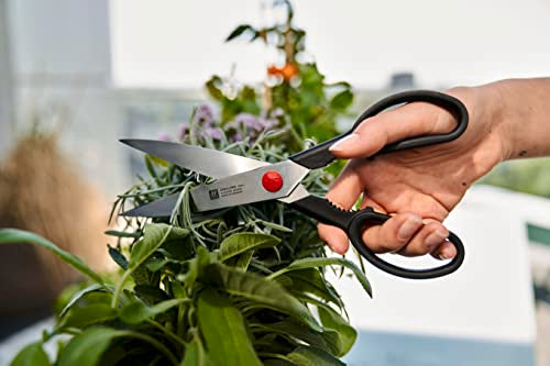Zwilling Twin L Multi Purpose Shears, 23cm