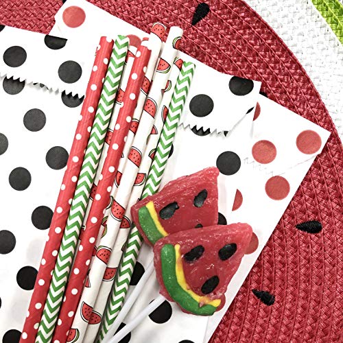  Watermelon Themed Paper Drinking Straws - Red White And Green- Polka Dot And Chevron - 100 Pack - Outside The Box Papers Brand