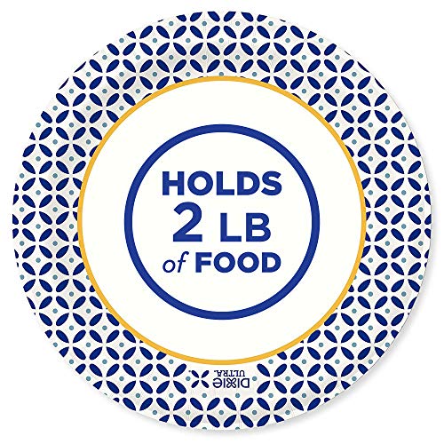  Sposable Paper Plates, 10-1/16 In. Dinner Size, Printed, 176 Count